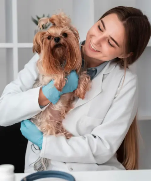 Saúde Animal